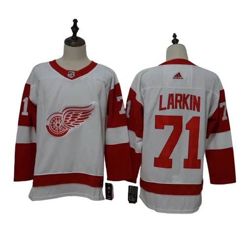 Detroit Red Wings Jersey Cheap1