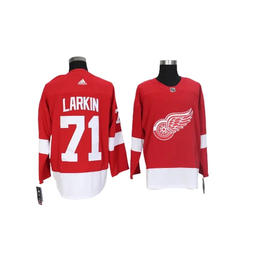 Detroit Red Wings Jersey Cheap5