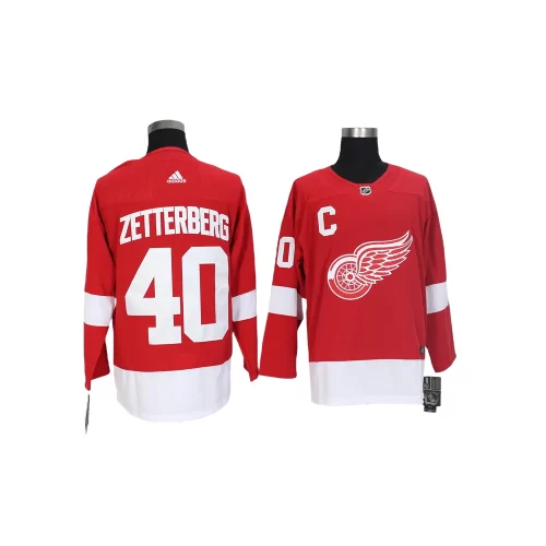 Detroit Red Wings Jersey Cheap6