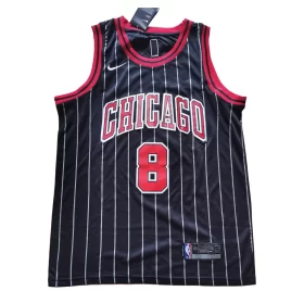Nba Nike Fan Edition Chicago Bulls 8 Latin Declaration Black Jersey Cheap 2